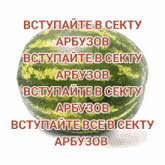 a watermelon is surrounded by text in russian