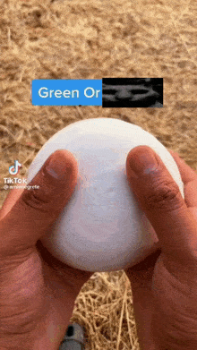 Green Or Greenscreen GIF - Green Or Greenscreen The Cat GIFs