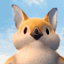 a close up of a bird 's face with a blue sky behind it