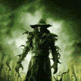 a scarecrow is standing in a field of tall grass
