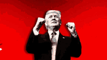 Trump Success GIF - Trump Success Winning GIFs
