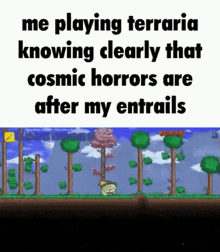 a screenshot of a video game with the words `` me playing terraria knowing clearly that cosmic horrors are after my entrails ''