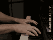 Jared Halley Keyboard GIF - Jared Halley Keyboard Musician GIFs