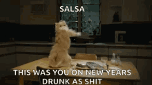 Dancing Cat Salsa GIF - Dancing Cat Salsa New Year GIFs