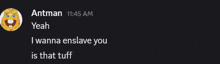 a screenshot of a conversation between antman and yeah says that i wanna enslave you is that tuff