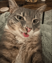 a cat with a pink tongue sticking out laying on a blanket