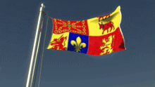 a flag with a fleur de lis and a lion on it