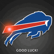 Buffalo Bills Bills GIF - Buffalo Bills Bills Go Bills GIFs
