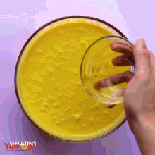 a person is pouring liquid into a bowl of yellow liquid with the words gelatine yum on the bottom