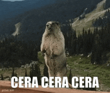 Cera Screaming GIF - Cera Screaming Beaver GIFs