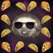 Taco Slotch GIF