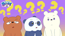 Confused Baby Grizzly GIF - Confused Baby Grizzly Baby Ice Bear GIFs