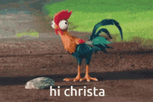 Hi Christa Chicken GIF - Hi Christa Chicken Rooster GIFs