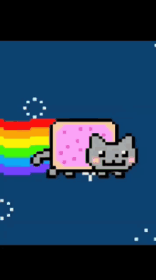 Nyan Cat Pop Tart GIF - Nyan Cat Pop Tart Grey Cat GIFs