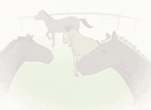 Horse Horse Anime GIF
