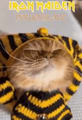 a cat wearing a yellow and black striped sweater with the words iron maiden powerslave written above it
