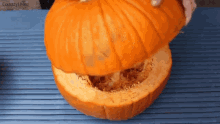 pumpkin squash open uncover wide open