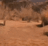 Hank Breaking Bad Comes To Life Becomes To Life GIF - Hank Breaking Bad Comes To Life Hank Breaking Bad GIFs