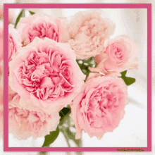 a bunch of pink flowers with a pink frame that says confectionary design on it