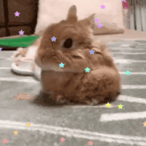 a small brown rabbit is laying on a blanket with a bunch of stars around it