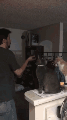 Juggling Cats GIF - Juggling Cats Cat GIFs