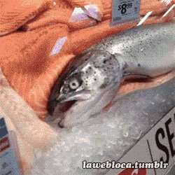 Sad Fish Mad Fish GIF - Sad Fish Mad Fish Crying Fish - Discover