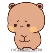 a cartoon bear with the words " i miss my shiloh " on the bottom