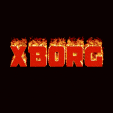 Xborg Xbg GIF - Xborg Xbg GIFs
