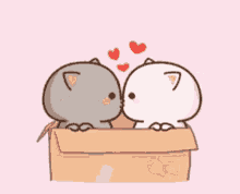 Kittens Mochi Mochi Peach Cat GIF - Kittens Mochi Mochi Peach Cat Kiss GIFs
