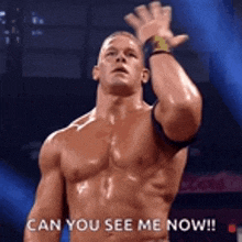 a shirtless wrestler is standing in front of a crowd and says " can you see me now "