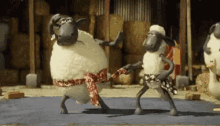 Shaun The Sheep GIF - Shaun The Sheep Stop Motion Dance GIFs