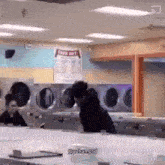 a man is standing in a laundromat with a sign that says trace mat .