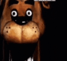 a close up of a teddy bear 's face with big eyes in a dark room .