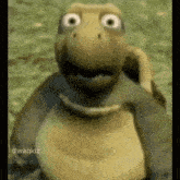 What Disappointed GIF - What Disappointed Turtle GIFs