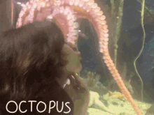Meloctopus Basingmai GIF - Meloctopus Mel Basingmai GIFs