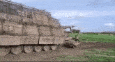 Cope Cage Russia GIF - Cope Cage Russia Turtle Tank GIFs