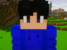 a minecraft character wearing a blue hoodie stands in a field