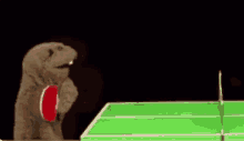 Left Beaver GIF - Left Beaver Ping Pong GIFs