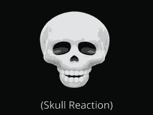 Skull Reaction Shark Reaction GIF - Skull Reaction Shark Reaction Skull GIFs