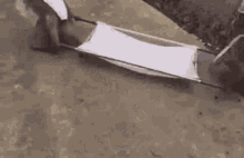 GIF