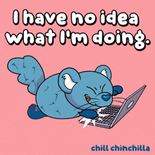 a cartoon of a chinchilla using a laptop with the words " i have no idea what i 'm doing " below it