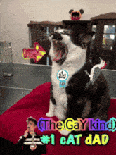 a picture of a cat with the caption " the gay king " # 1 cat dad