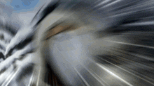 a blurred image of a person 's face is shown