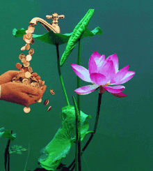 Coin Flower GIF