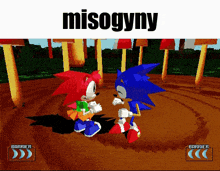 a screenshot of sonic the hedgehog and amy the hedgehog in a video game