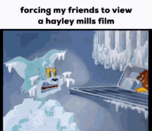 hayleymills tigerbay