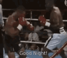 Good Night Mike Tyson GIF - Good Night Mike Tyson Knock Out GIFs