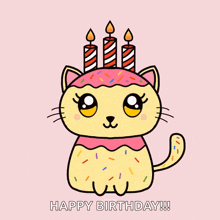 Birthday Cat Happy Birthday GIF - Birthday Cat Happy Birthday Funny Birthday GIFs