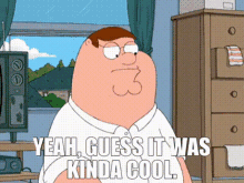 Family Guy Peter Griffin GIF - Family Guy Peter Griffin Yeah Guess It Was Kinda Cool GIFs