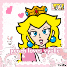 a picture of princess peach with the words " peach loves vyelle "